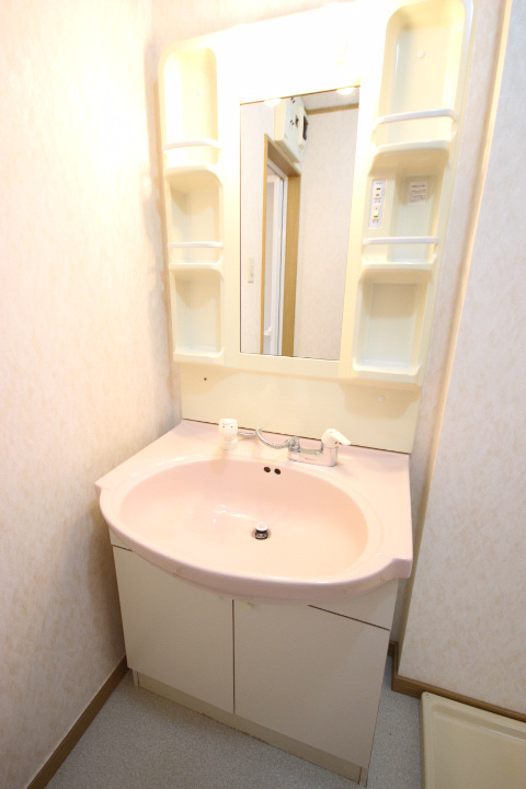 シャンプードレッサー